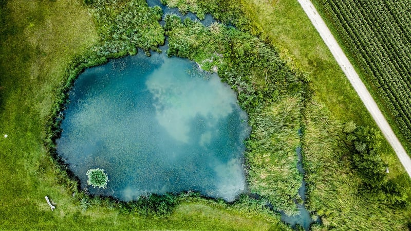 Mermaid Pond Creations