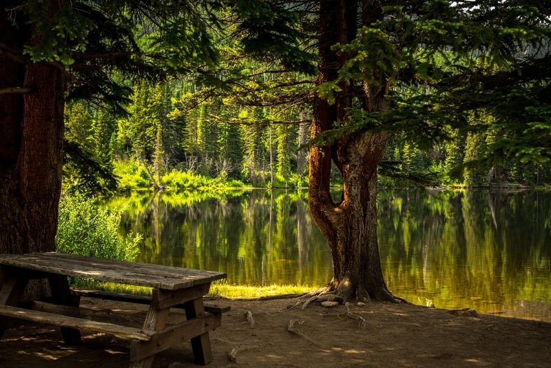 Pixie Picnic Areas