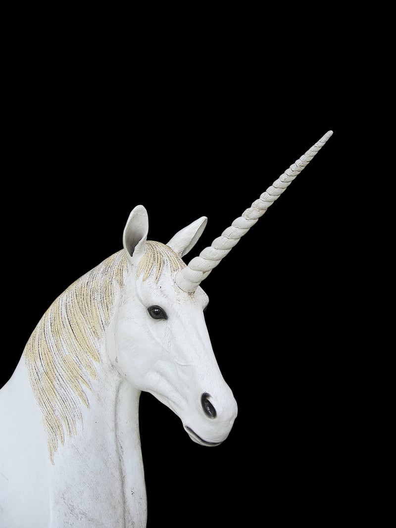 Unicorn Plant Companions